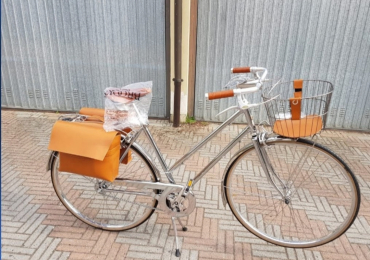Bicicletta Cigno