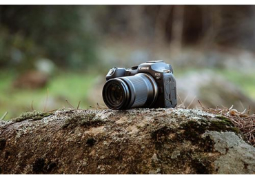Canon EOS R7 Mirrorless Digital