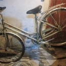 BICICLETTA DONNA