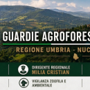 Arruolamento Volontari