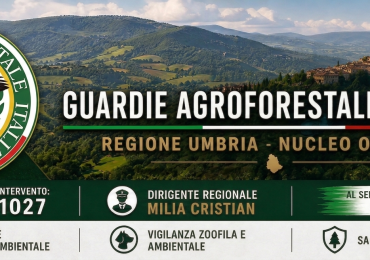 Arruolamento Volontari