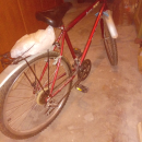City bike