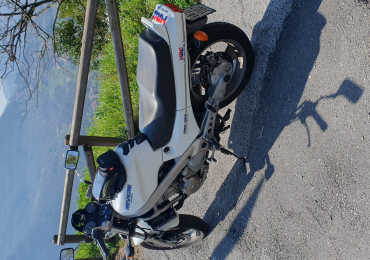 Honda revere 650