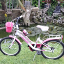 Bicicletta da ragazza 8-14 anni