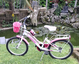 Bicicletta da ragazza 8-14 anni