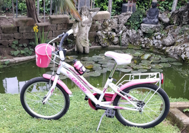 Bicicletta da ragazza 8-14 anni