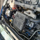Punto evo natural power