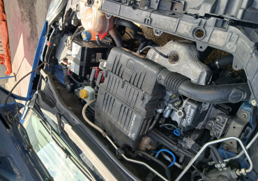Punto evo natural power