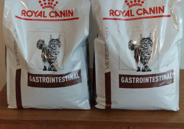Crocchette gatto Royal Canin Gastrointestinal