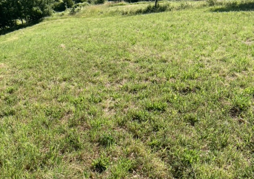 Vendesi terreno agricolo