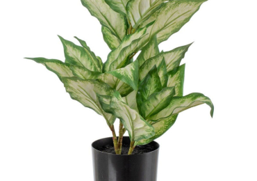 PIANTA DECORATIVA POLIETILENE PEVA DIEFFENBACHIA 42 X 42 X 52 CM