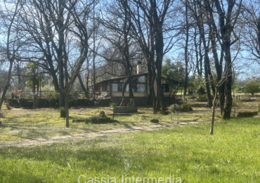 NEPI (VT)