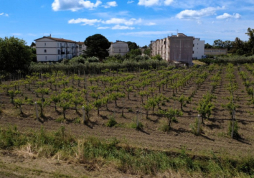 BERNALDA (MT)