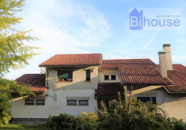 POLLONE (BI)