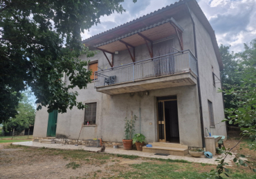 LUCIGNANO (AR)