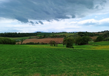 CASTIGLIONE DEL LAGO (PG)