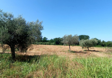 ROCCASECCA (FR)