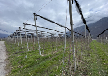 SALORNO SULLA STRADA DEL VINO/SALURN