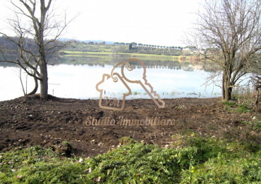 MONTEROSI (VT)