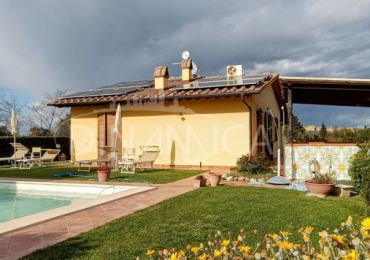 PALAIA (PI)