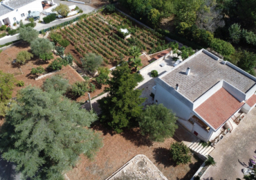 MARTINA FRANCA (TA)