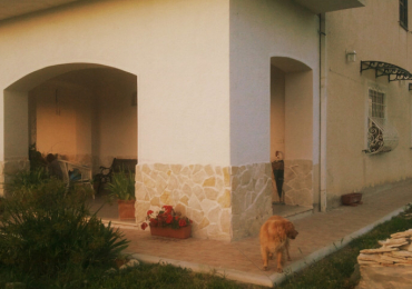 ARCE (FR)