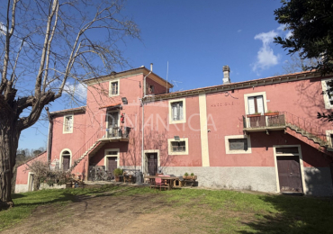 FAUGLIA (PI)