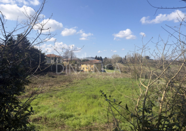 FAUGLIA (PI)