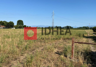 PAESE (TV)