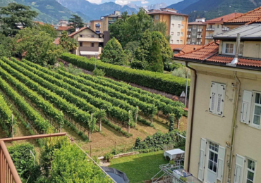 BOLZANO/BOZEN (BZ)