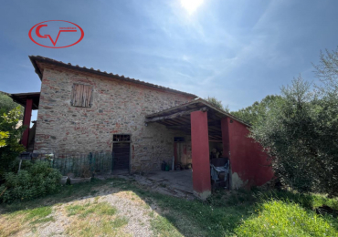 MONTEVARCHI (AR)