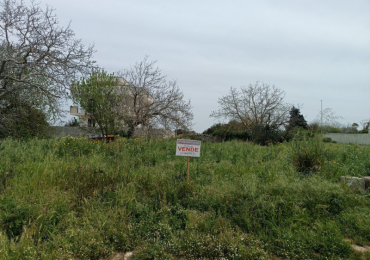 MELPIGNANO (LE)