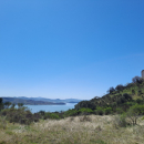 FRESAGRANDINARIA (CH)