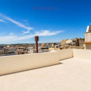 NOTO (SR)