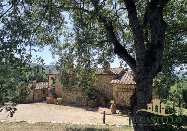 CITTA DELLA PIEVE (PG)