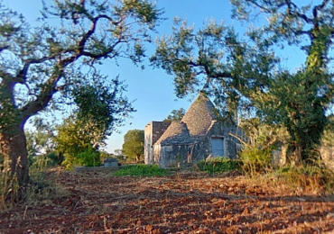 ALBEROBELLO (BA)
