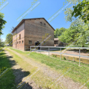 MODENA (MO)