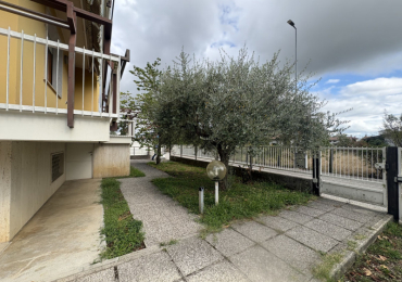 CAMPOFORMIDO (UD)