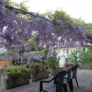 PERUGIA (PG)