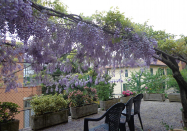 PERUGIA (PG)