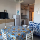 SENIGALLIA (AN)