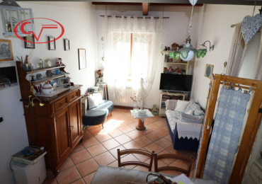 MONTEVARCHI (AR)