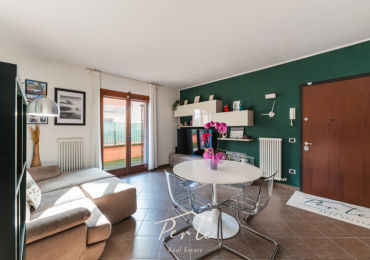 MANTOVA (MN)