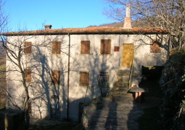COLONICA IN CASENTINO