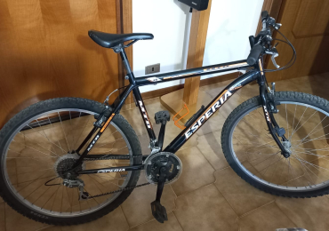Bicicletta MTB Esperia 26″