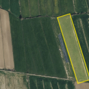 Terreno agricolo Castiglione della Pescaia