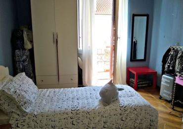 Torino – Zona Pozzo Strada/Tesoriera affittasi bella camera ammobiliata