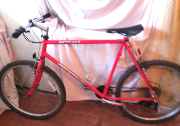 Mountain bike