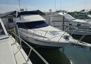 BARCA NATANTE BAYLINER CON FLYBRIDGE