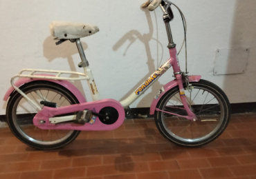 Bicicletta da donna